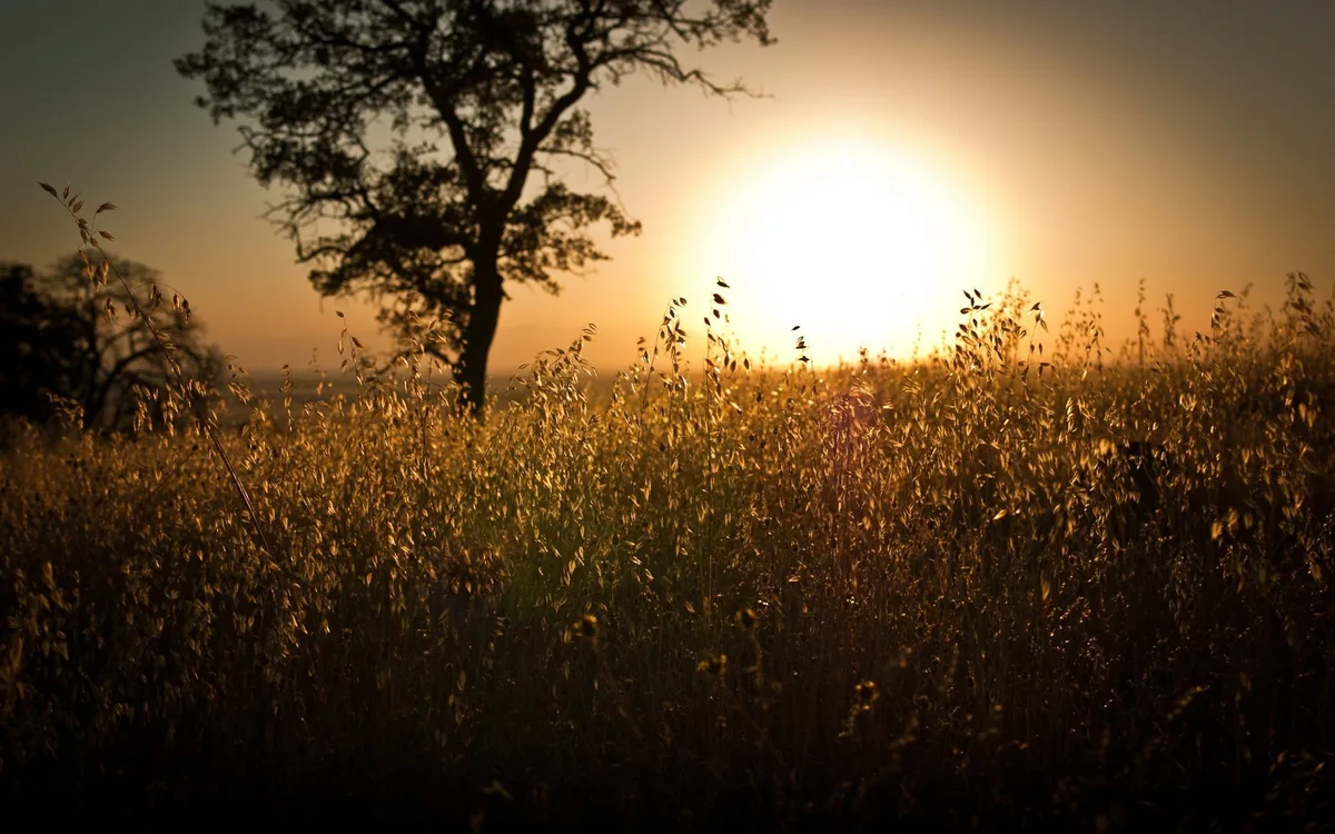 Jordan | Continued Cool Nights Until Thursday with Noticeable Temperature Rise on Friday