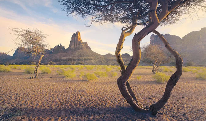 Jordan | Mild spring weather in the coming days with cold nights in mountainous areas