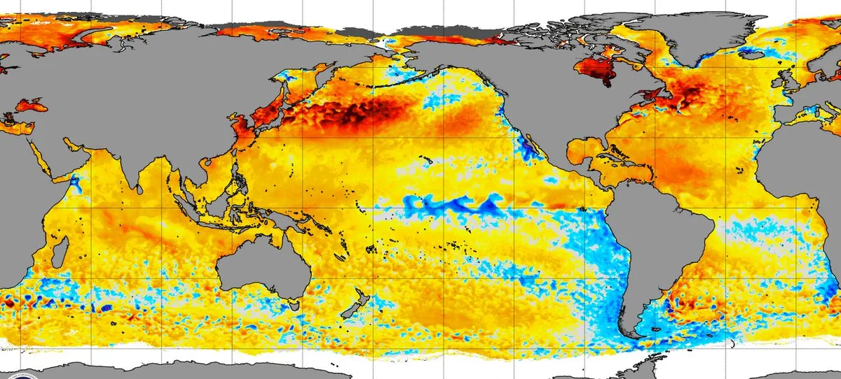 WSM Regional Center | Surprising and contrary to expectations: Rising temperatures in the tropical Pacific Ocean region
