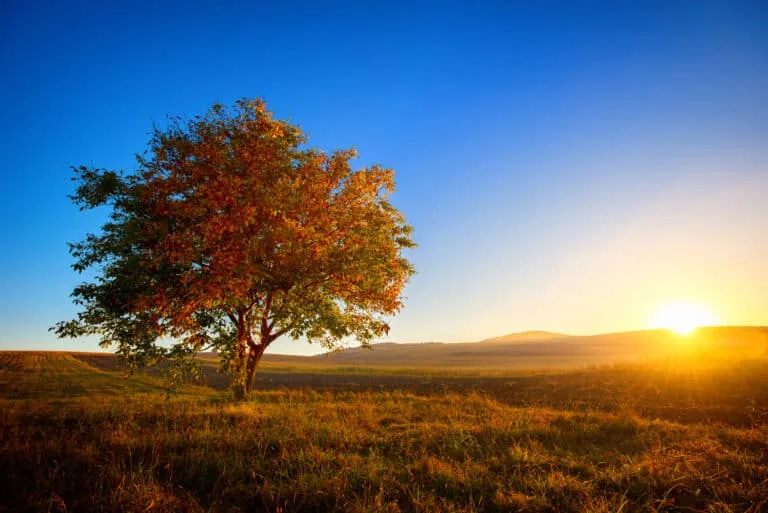 Jordan.. Stable weather tomorrow Thursday with pleasant temperatures and return of rain mid and end of next week