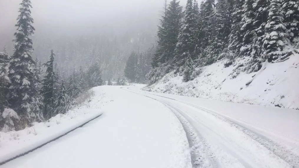 Jordan | Weather Alert.. Strong Polar Wave, Heavy Rain and Accumulated Snow on Most Elevated Areas