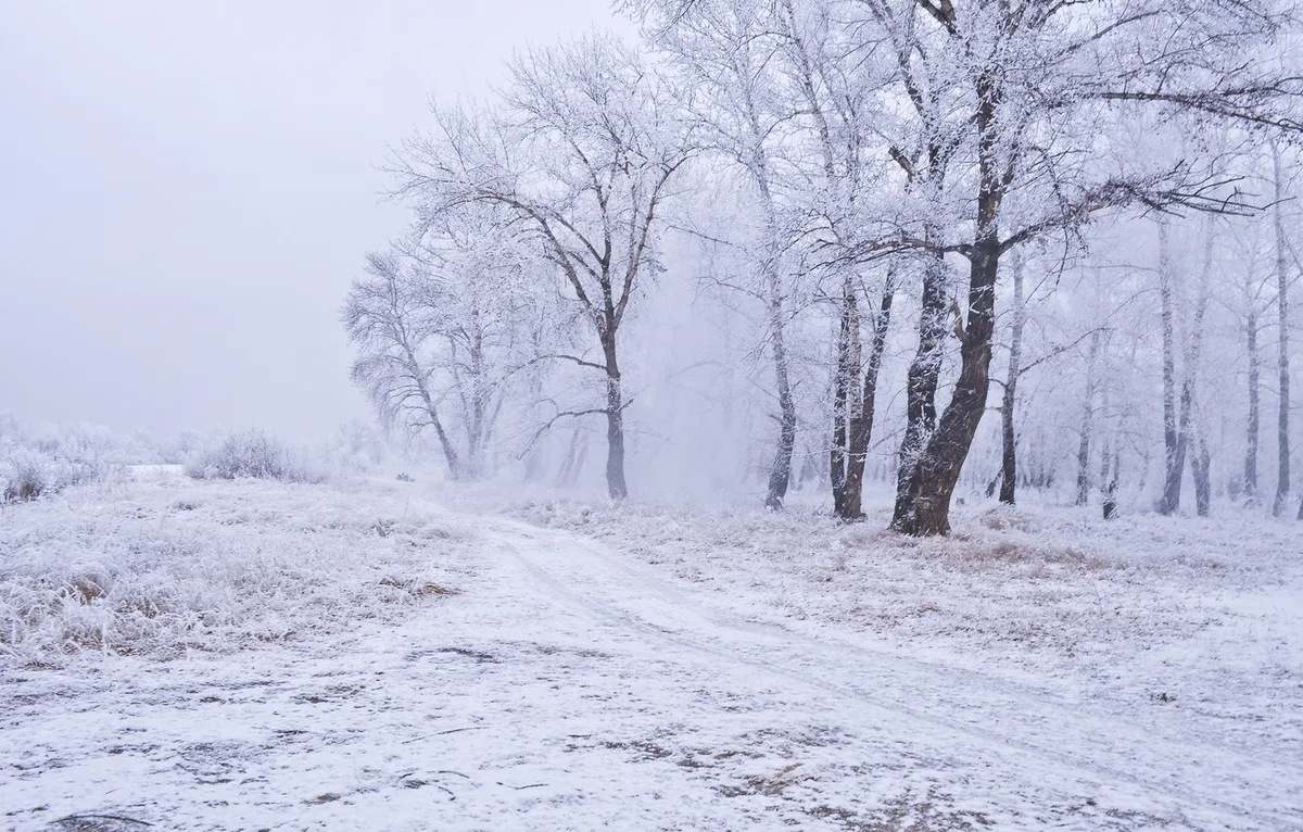 Jordan | Weather Alert.. Heavy Rainfall from Friday through Monday Morning with Snow on Southern Mountains