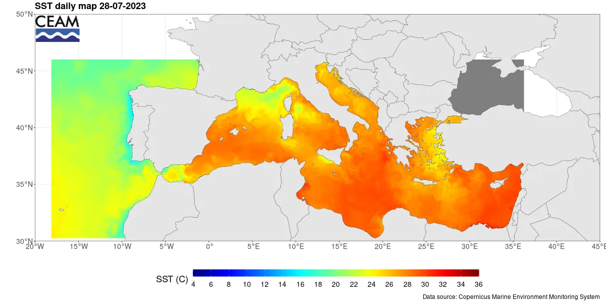 The Mediterranean Sea Records Record-Breaking Temperatures and Severe Consequences During Fall and Winter