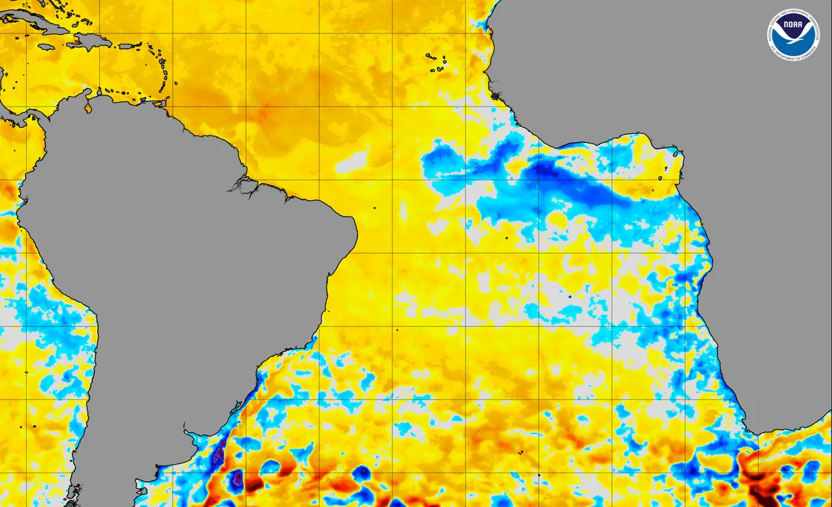 WASM Regional Center | Climate phenomenon returns for the first time since 1994 with significant impacts on the atmosphere