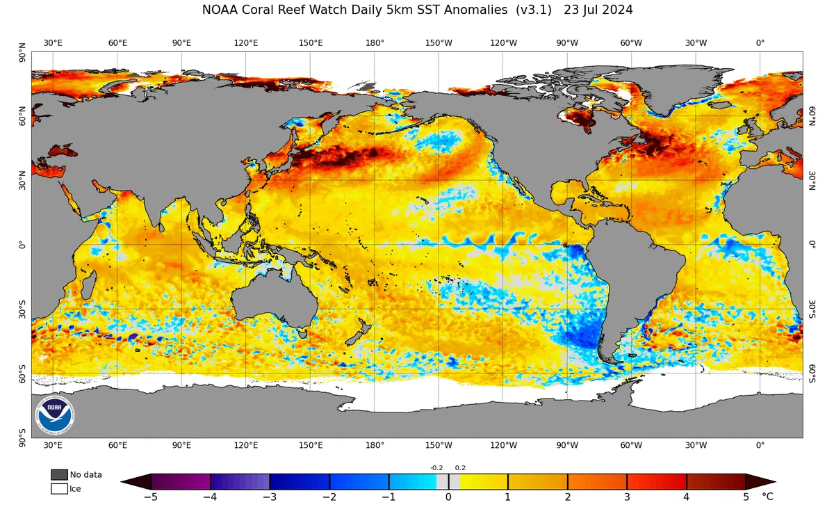 El Niño 2024 Among Rarest El Niño Phenomena in Climate Records.. How Did It Impact the Atmosphere?