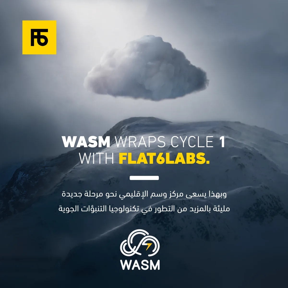 WASM Regional Center Closes Its First Investment Round