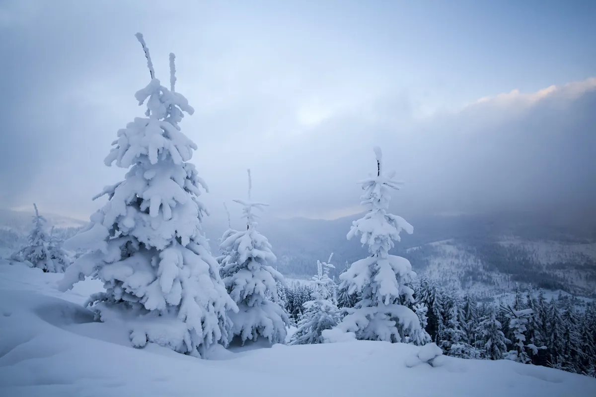 Historic Blizzards Strike Multiple Regions Worldwide This Season—What Are the Scientific Causes?