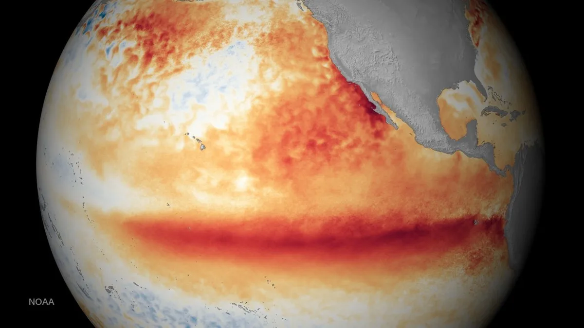 WASM Regional Center | The Dangerous Super Niño Phenomenon to Strike Global Climate in Coming Months