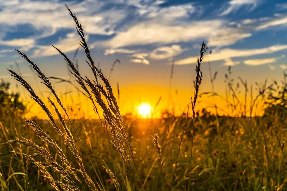 Jordan | Slight Rise in Temperatures over the Coming Days