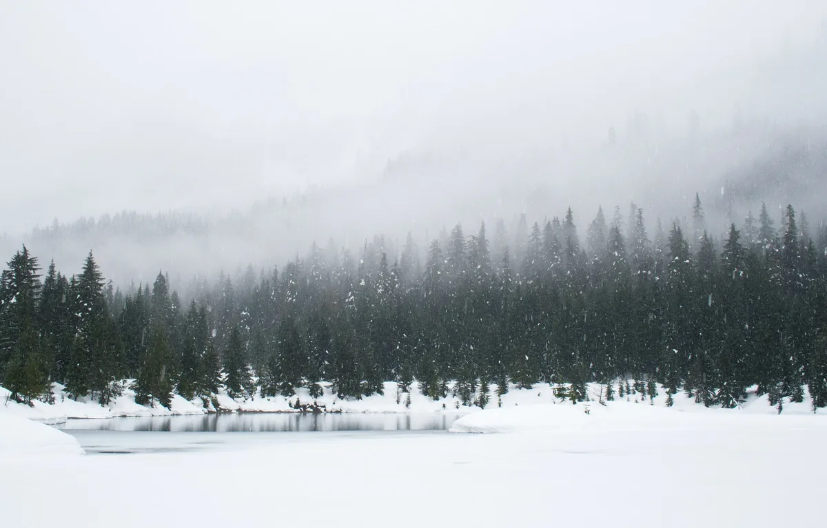 Jordan | Weather Alert: Strong Arctic Wave with High Humidity Begins Thursday and Intensifies Late Week