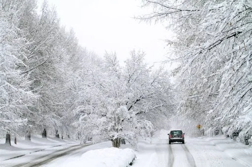 Jordan | Early Weather Alert: A "Strong" Polar Wave Accompanied by Rain and Snow Begins Thursday