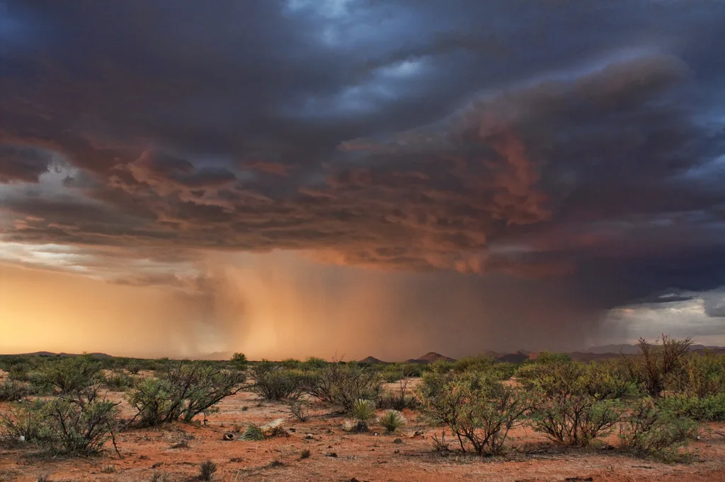 Weather Alert: Strong winds and dense dust tomorrow Tuesday followed by scattered rain and winter conditions