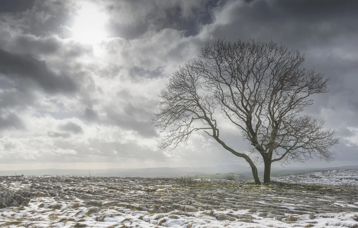 Jordan | Arctic Cold Wave Intensifies Tomorrow Tuesday with Snow Showers Above 1000 Meters