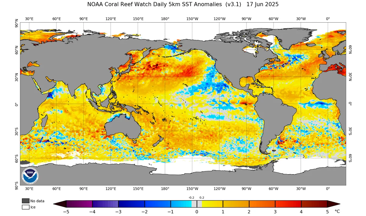 WASM Regional Center | Continuation of the "Neutral" Phase in the Tropical Pacific Region Next Season