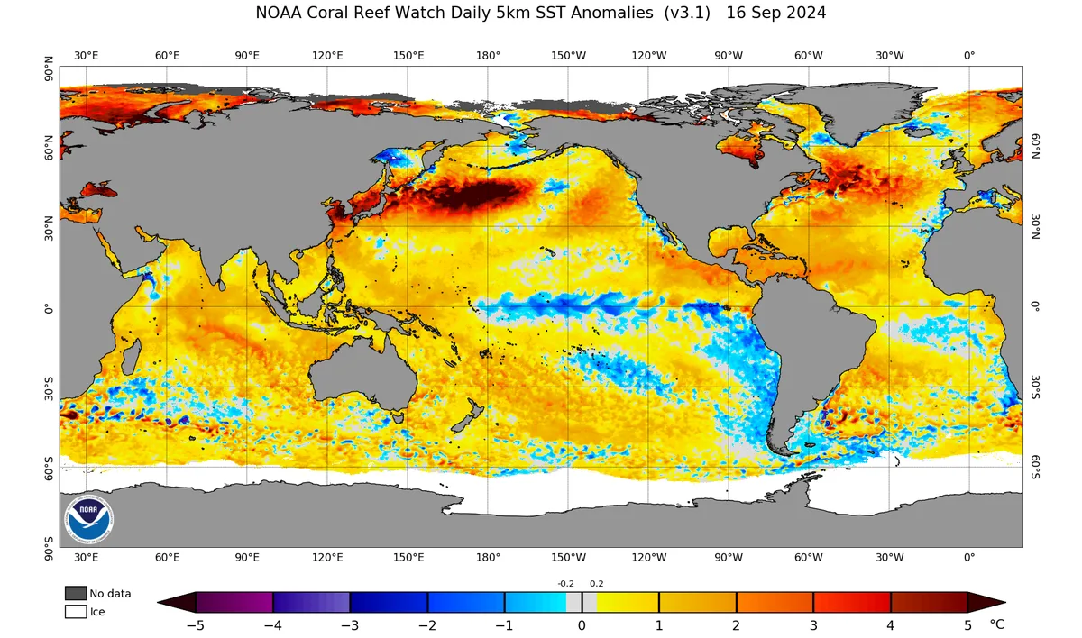 WASM Regional Center | Contrary to American climate model data.. La Niña phenomenon continues to fail to develop