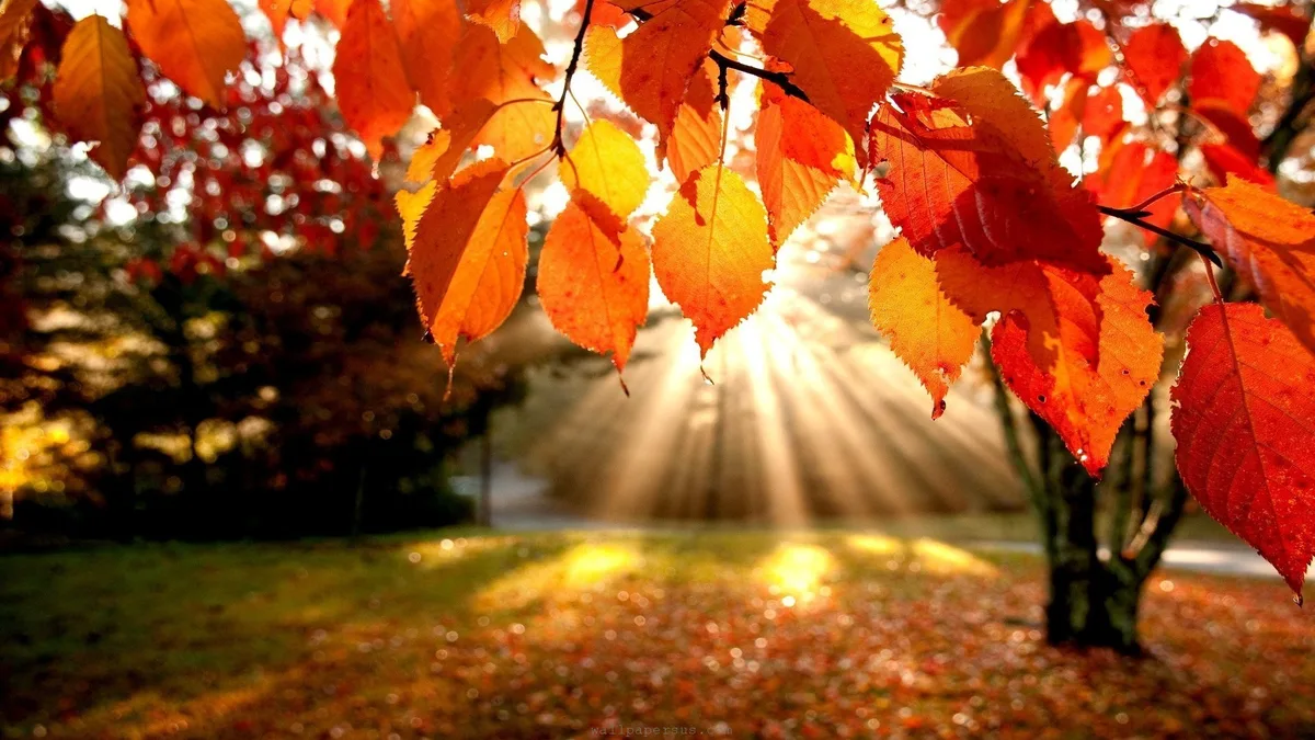 Jordan.. Noticeable Drop in Temperatures This Weekend and Autumn Conditions Next Week