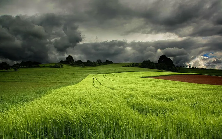 Jordan | Atmospheric disturbances on Saturday and rainy conditions at the end of next week