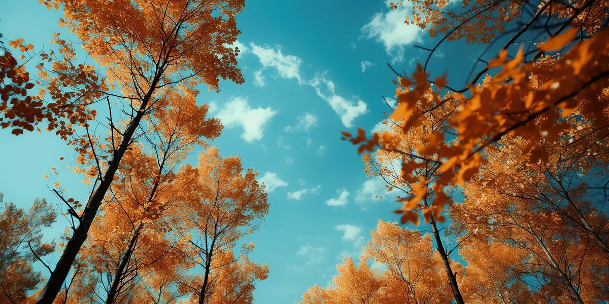 Jordan | Temperatures Rising at Week's End with Alert for Return of Thermal Instability Next Week