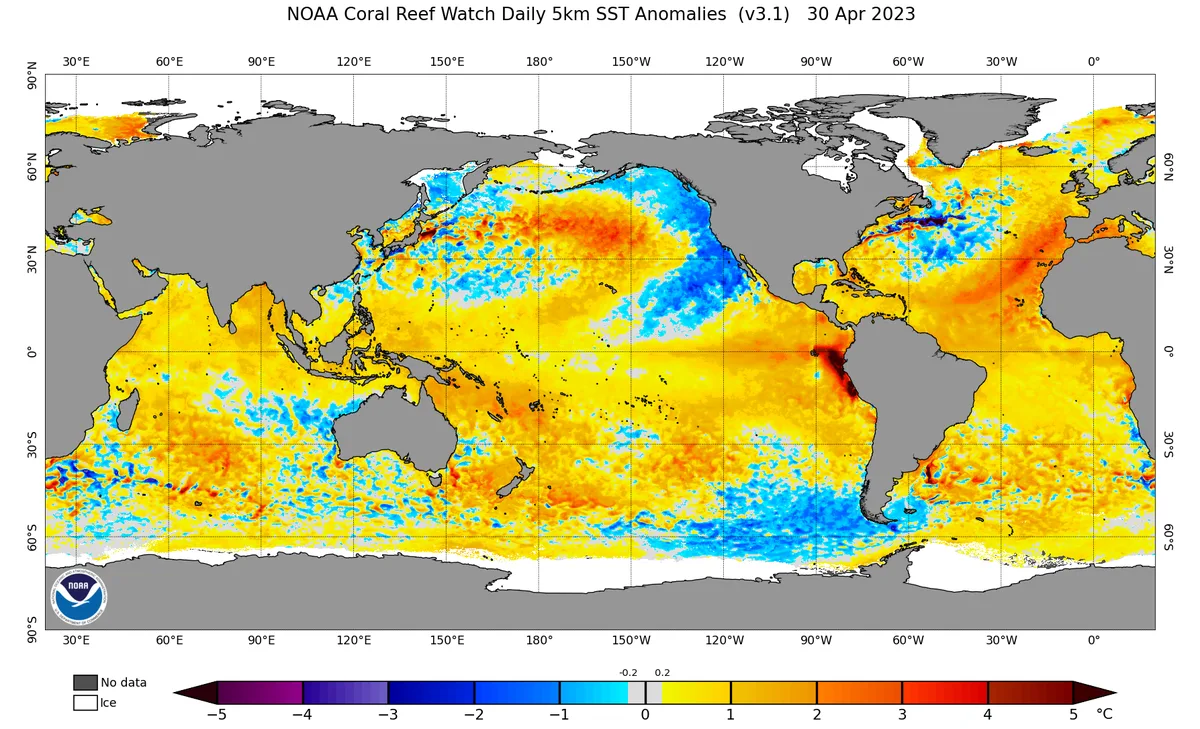 The El Niño climate phenomenon will batter global climate in the coming years with stronger rainy seasons expected in Jordan and the Middle East