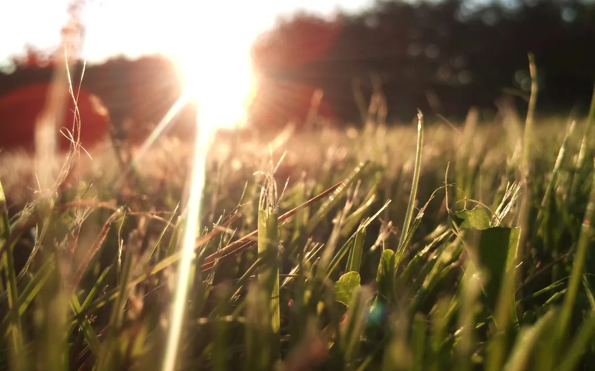 Jordan | Temperature drop tomorrow Thursday with moderate weather conditions