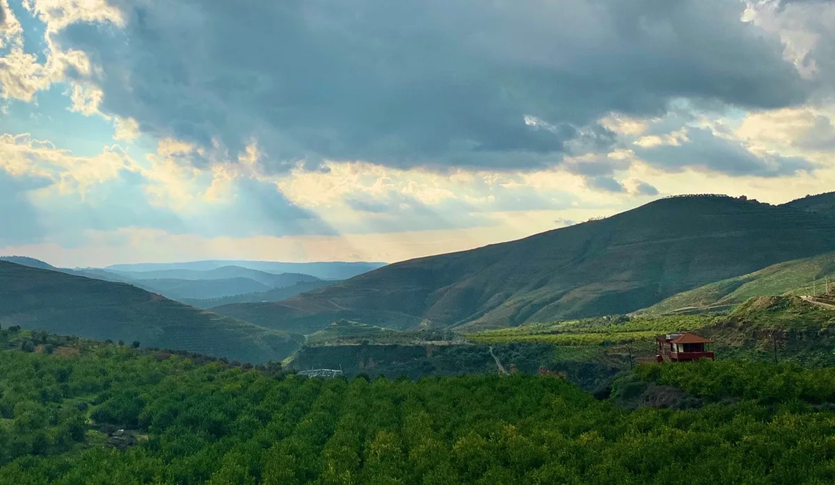 Jordan | Cold and humid weather tonight with a cold wave next week