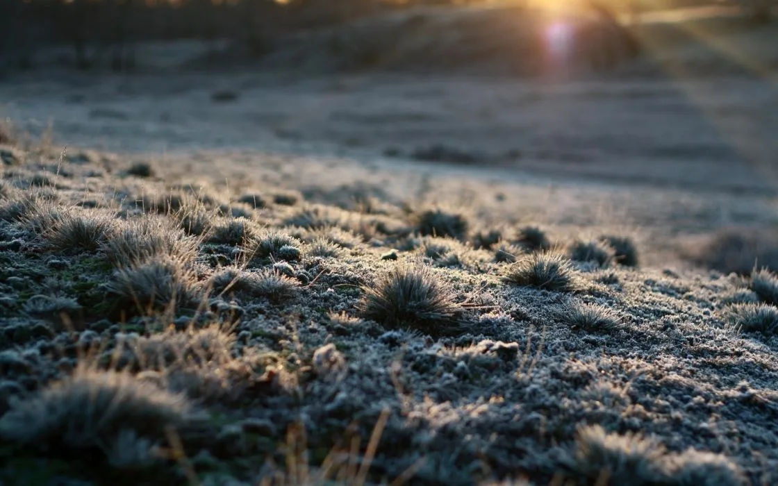Jordan.. Weather Stabilizing Tonight with Alert for Frost and Freezing Conditions Thursday Dawn