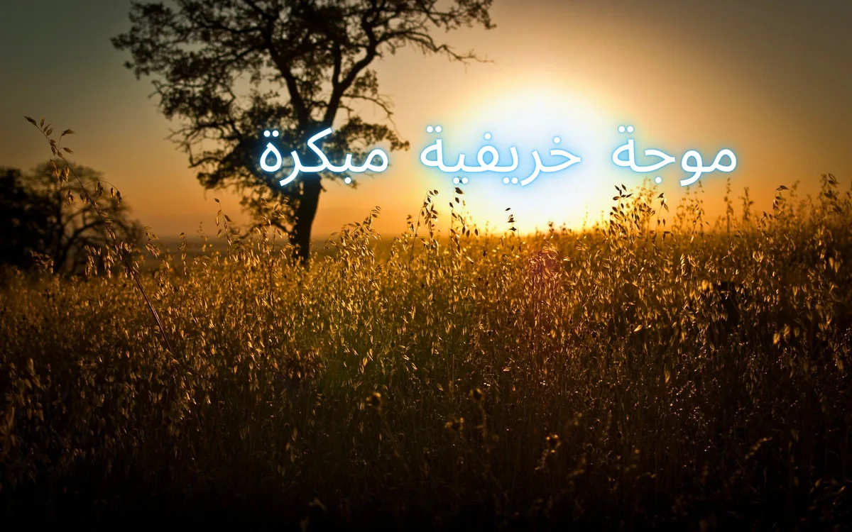 Jordan | Moderate weather in the coming days with an early autumn wave beginning next week